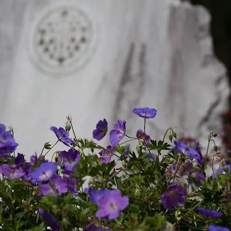 Aurora - Faszination Kraig