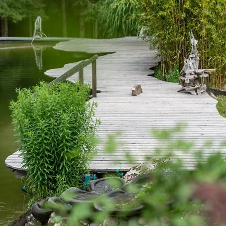 Aurora - Faszination Kraig