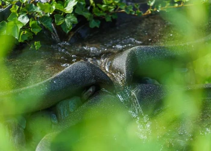 Aurora - Faszination דירה