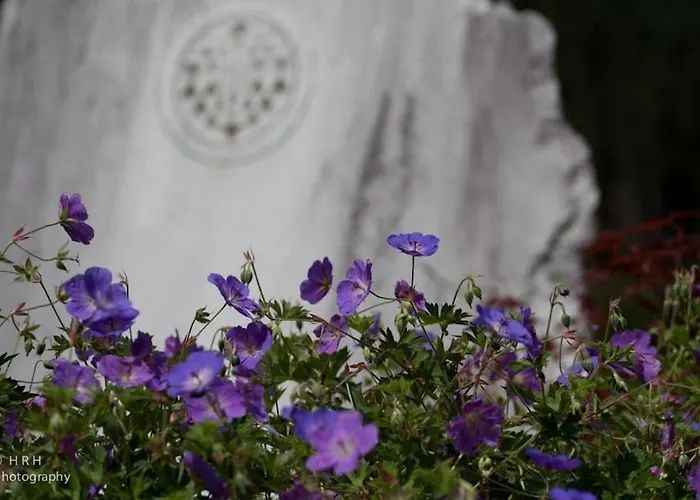 Aurora - Faszination Kraig