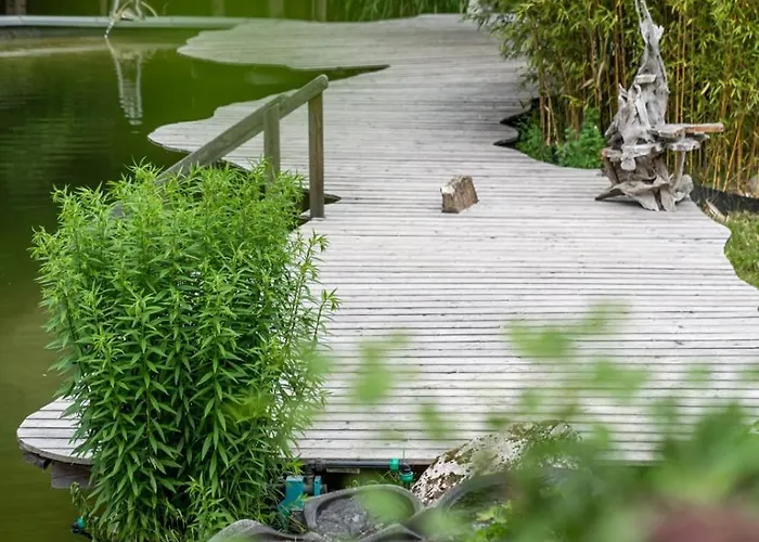 Aurora - Faszination Kraig